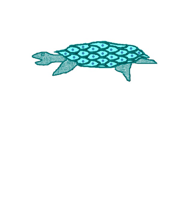 Turtle1.jpg_view.jpg